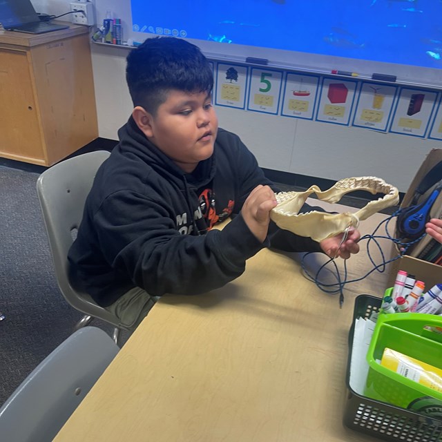 Marine Biologist