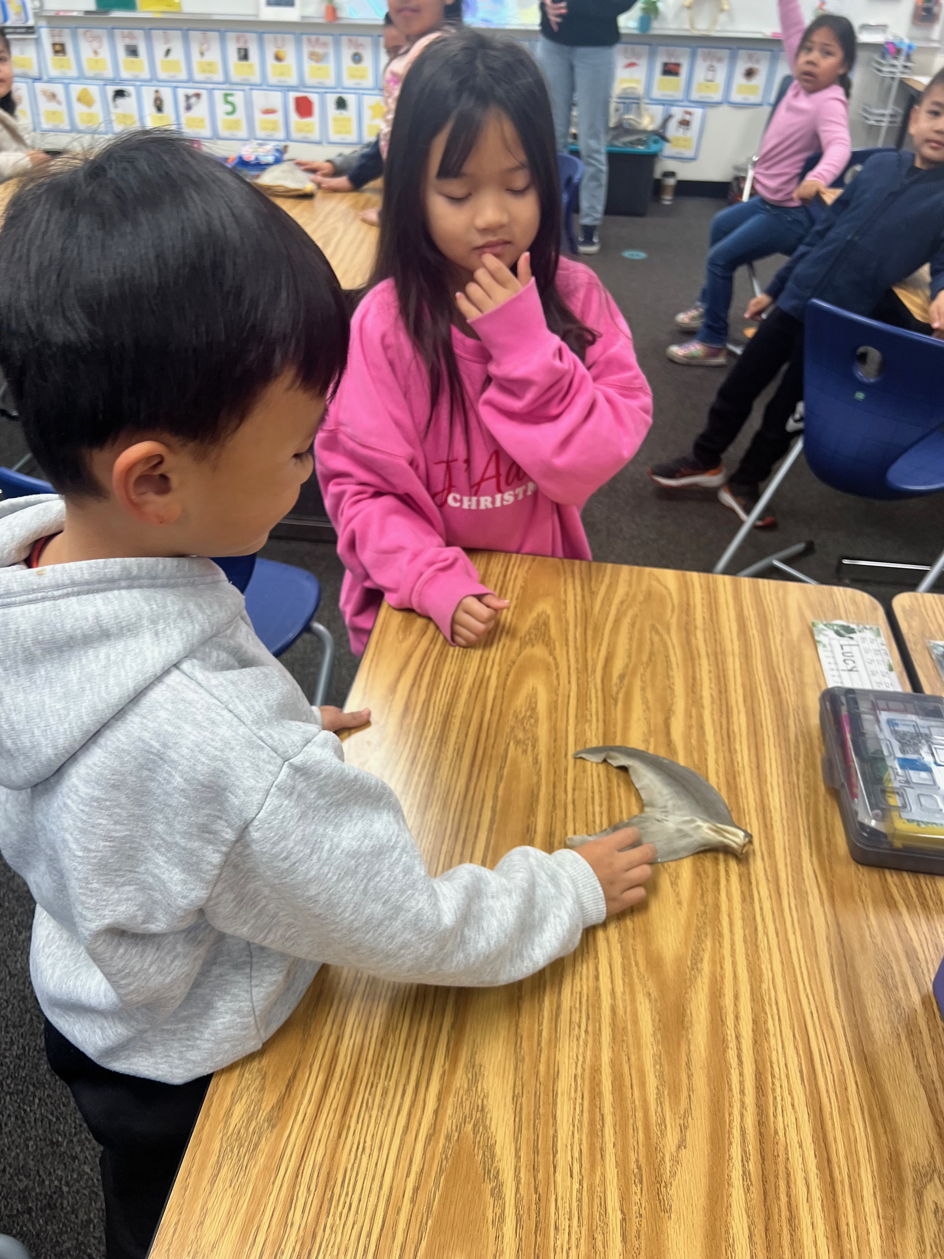 Students Learning Marine Biology