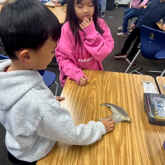 Students Learning Marine Biology